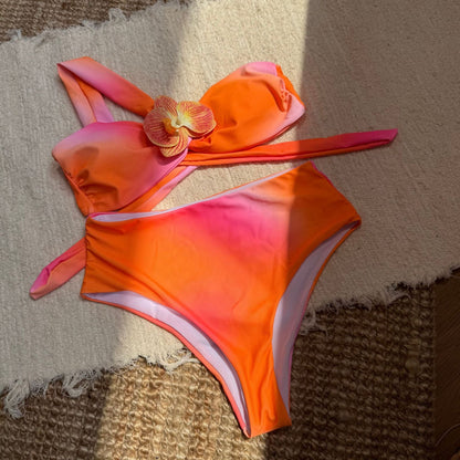 Ombre Print Bikini Set