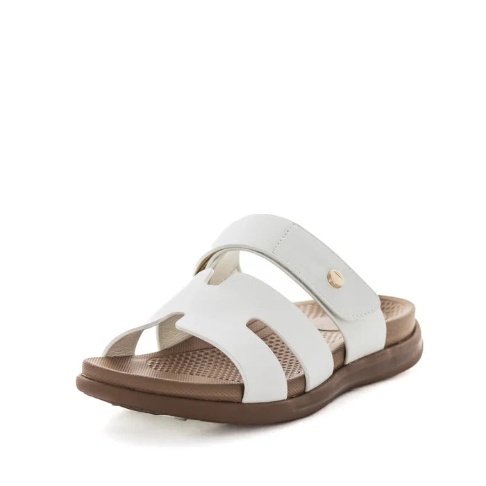 AEROCUSHION  MYRA WHITE