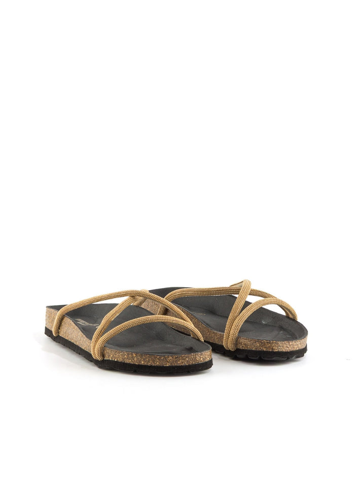 204303 SWEET 14304 GOLD -1