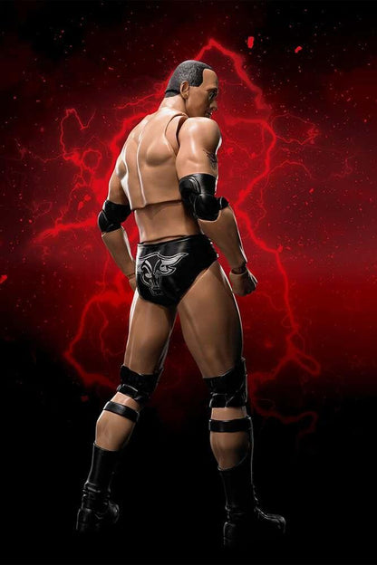 S.H. Figuarts WWE Action Figure - The Rock