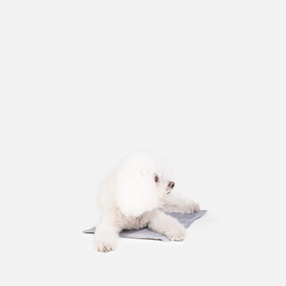 Small ThermoCool Multi-Purpose Dog Mat